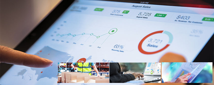 Web ERP