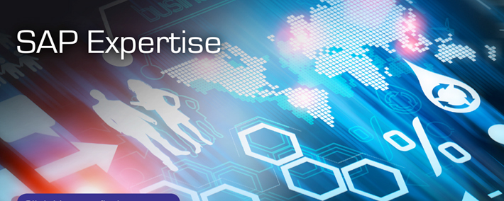 SAP Experties
